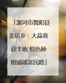 漯河市舞阳县姜店乡：大蒜喜获丰收 特色种植铺就富民路