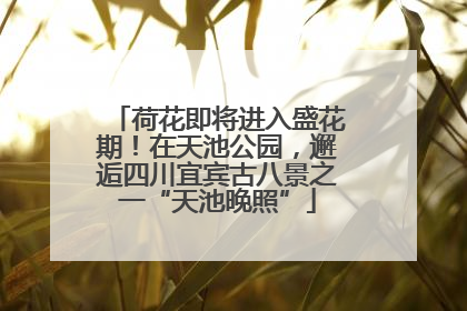 荷花即将进入盛花期！在天池公园，邂逅四川宜宾古八景之一“天池晚照”
