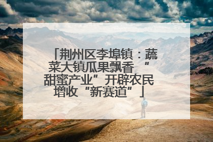 荆州区李埠镇：蔬菜大镇瓜果飘香 “甜蜜产业”开辟农民增收“新赛道”