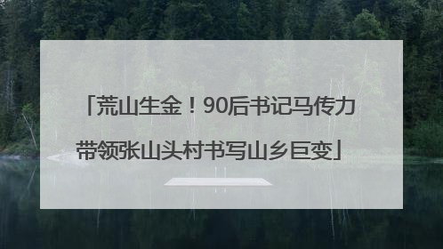 荒山生金！90后书记马传力带领张山头村书写山乡巨变