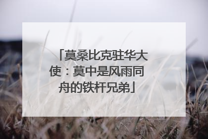 莫桑比克驻华大使：莫中是风雨同舟的铁杆兄弟