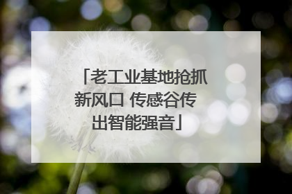老工业基地抢抓新风口 传感谷传出智能强音