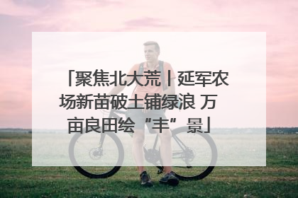聚焦北大荒丨延军农场新苗破土铺绿浪 万亩良田绘“丰”景