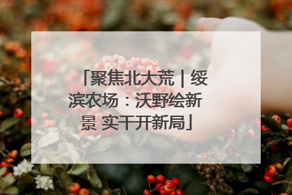聚焦北大荒｜绥滨农场：沃野绘新景 实干开新局