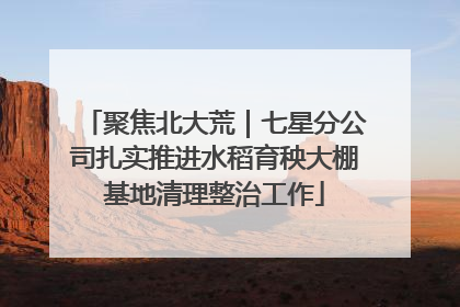 聚焦北大荒｜七星分公司扎实推进水稻育秧大棚基地清理整治工作