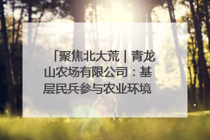聚焦北大荒｜青龙山农场有限公司：基层民兵参与农业环境综合治理显效