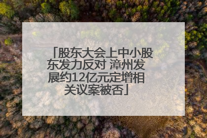股东大会上中小股东发力反对 漳州发展约12亿元定增相关议案被否