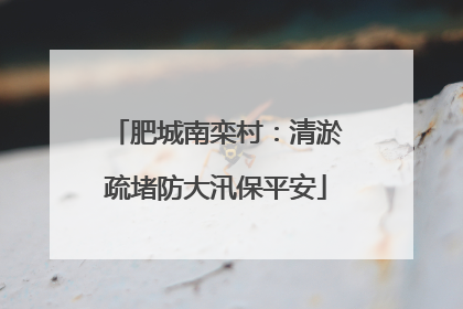 肥城南栾村：清淤疏堵防大汛保平安