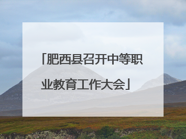 肥西县召开中等职业教育工作大会