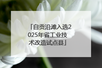 自贡沿滩入选2025年省工业技术改造试点县