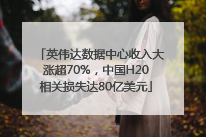 英伟达数据中心收入大涨超70%，中国H20相关损失达80亿美元