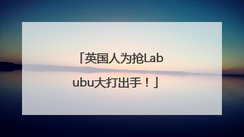 英国人为抢Labubu大打出手！