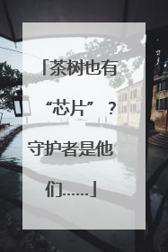 茶树也有“芯片”？守护者是他们……