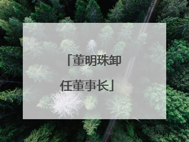 董明珠卸任董事长
