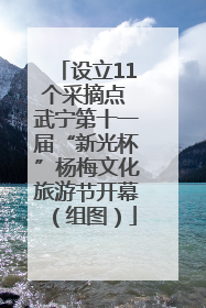 设立11个采摘点 武宁第十一届“新光杯”杨梅文化旅游节开幕（组图）
