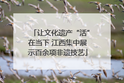 让文化遗产“活”在当下 江西集中展示百余项非遗技艺