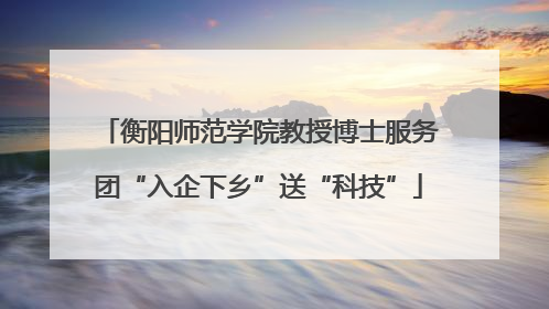 衡阳师范学院教授博士服务团“入企下乡”送“科技”