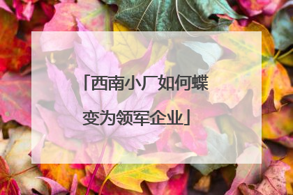 西南小厂如何蝶变为领军企业