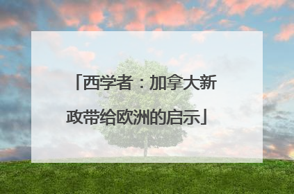 西学者：加拿大新政带给欧洲的启示