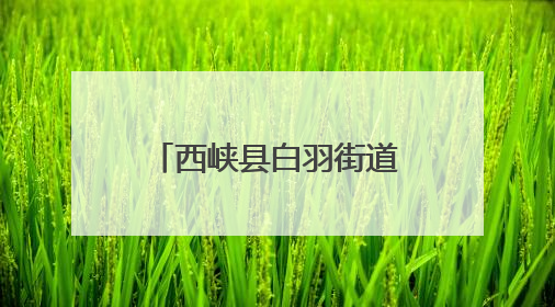 西峡县白羽街道：开展护路宣传 维护铁路安全