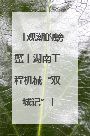 观潮的螃蟹丨湖南工程机械“双城记”