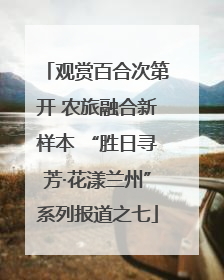 观赏百合次第开 农旅融合新样本 “胜日寻芳·花漾兰州”系列报道之七
