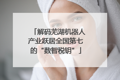 解码芜湖机器人产业跃居全国第七的“数智税钥”
