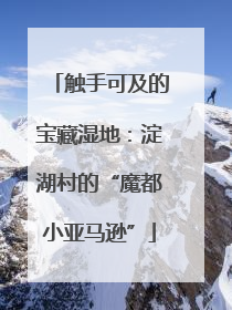触手可及的宝藏湿地：淀湖村的“魔都小亚马逊”