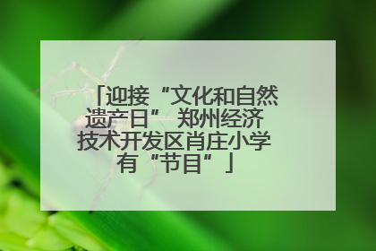 迎接“文化和自然遗产日” 郑州经济技术开发区肖庄小学有“节目”