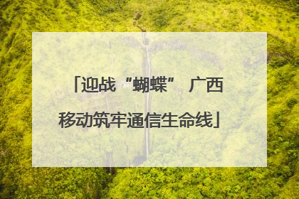 迎战“蝴蝶” 广西移动筑牢通信生命线