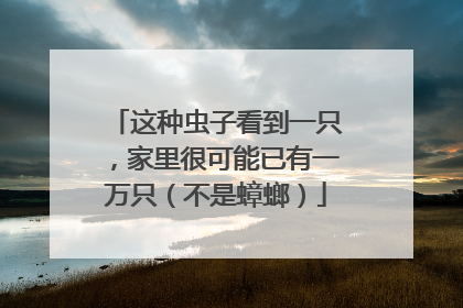 这种虫子看到一只，家里很可能已有一万只（不是蟑螂）