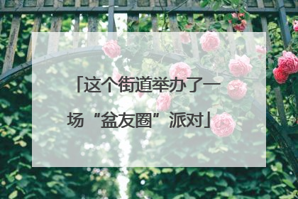 这个街道举办了一场“盆友圈”派对