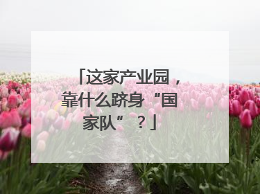这家产业园，靠什么跻身“国家队”？
