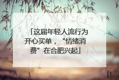 这届年轻人流行为开心买单，“情绪消费”在合肥兴起