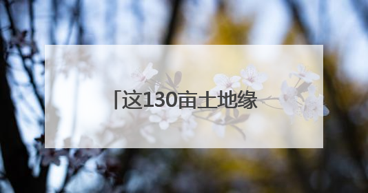 这130亩土地缘何备受关注？来看山西版口粮“吨粮田”的探索实践