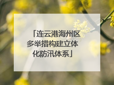 连云港海州区多举措构建立体化防汛体系