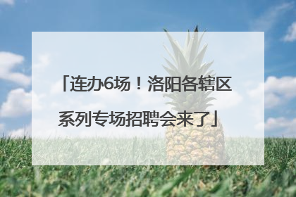连办6场！洛阳各辖区系列专场招聘会来了