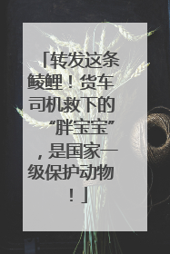 转发这条鲮鲤！货车司机救下的“胖宝宝”，是国家一级保护动物！
