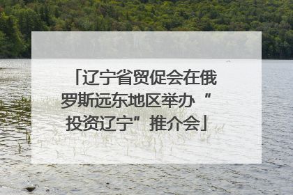 辽宁省贸促会在俄罗斯远东地区举办“投资辽宁”推介会