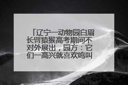 辽宁一动物园白眉长臂猿猴高考期间不对外展出，园方：它们一高兴就喜欢鸣叫，怕影响考试