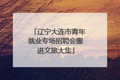 辽宁大连市青年就业专场招聘会搬进文旅大集