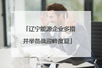 辽宁能源企业多措并举备战迎峰度夏