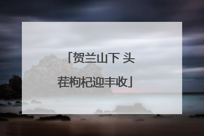 贺兰山下 头茬枸杞迎丰收