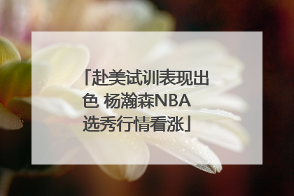 赴美试训表现出色 杨瀚森NBA选秀行情看涨