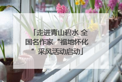 走进青山碧水 全国名作家“福地怀化”采风活动启动