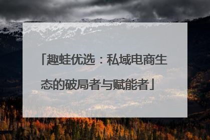 趣蛙优选：私域电商生态的破局者与赋能者