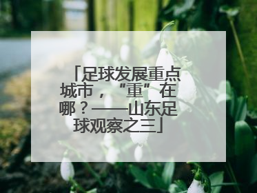 足球发展重点城市，“重”在哪？——山东足球观察之三