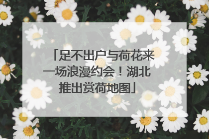 足不出户与荷花来一场浪漫约会！湖北推出赏荷地图