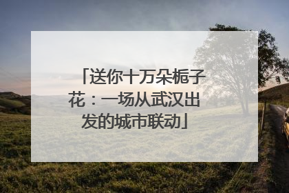 送你十万朵栀子花：一场从武汉出发的城市联动