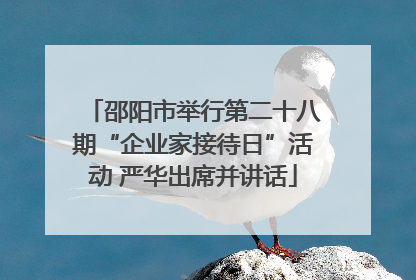 邵阳市举行第二十八期“企业家接待日”活动 严华出席并讲话
